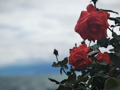 -南诏风情岛