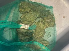 -徽三说·土徽菜·中国徽菜连锁品牌(一中店)