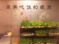 -宣威山野人家·云南菜·菌火锅(金碧店)