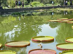 -国家植物园南园