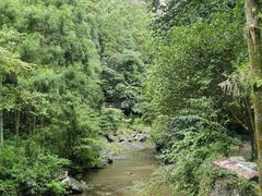 -雁荡山大龙湫景区