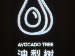 -油梨树AVOCADO TREE(嘉里中心店)