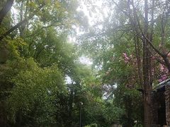 -鱼凫人家