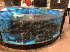 水产区-梁家大院•农家菜(昆山会展中心店)