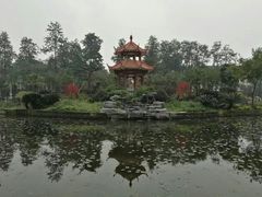 -四川大学(望江校区)