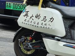 -陶记正宗德州扒鸡(科巷店)
