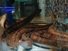 -阿伟海鲜楼·福建菜(延寿店)