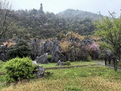 -千岛湖石林