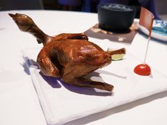 -侨美食家·40年地道粤菜(珠江新城店)