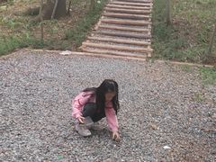 -青龙山国家森林公园