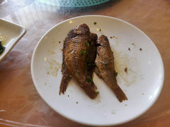 android_upload_pic-五谷芳乳鸽王（大梅沙总店C区）(网红打卡店)