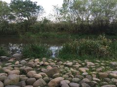 -新江湾城公园