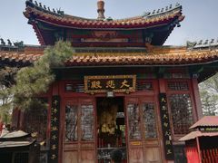 -高尔山公园