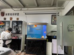 -雕哥的纹身店A3 TATTOO&纹身培训