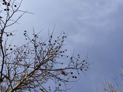 -河北省园博园