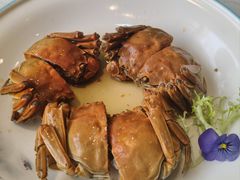 -吴记小园楼(新庄店)