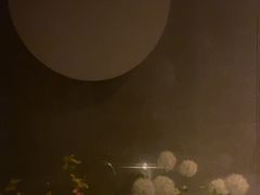 -小仙女采耳·按摩·SPA(深圳旗舰店)