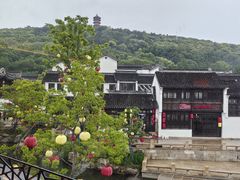 -卯时·精致锡帮菜(惠山古镇店)