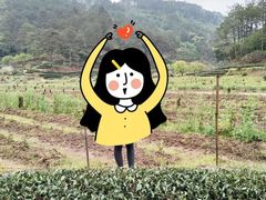 -武夷山风景名胜区-虎啸岩