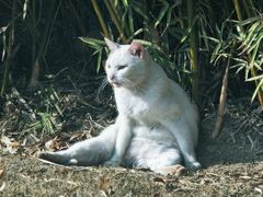 -苏州河梦清园环保主题公园