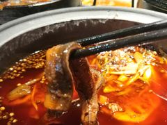 -听香·678茶铺(猛追湾店)