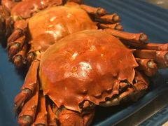 -黄记大闸蟹专卖店·活蟹·醉蟹