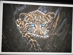 -罗红摄影艺术馆