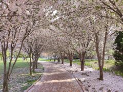 -石家庄市植物园