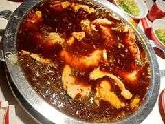 -蜀滋香鲜鱼美蛙火锅(339店)