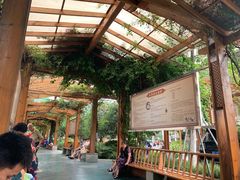 -成都市第一人民医院(南区)