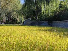 -北坞公园