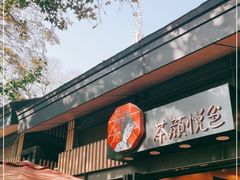 门面-茶颜悦色(岳麓山顶店)