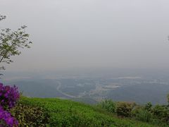 -黄埔油麻山森林公园