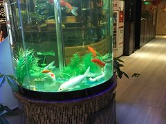 -08涮肉坊(广顺南大街店)