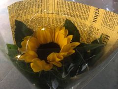 -益寿炖品店