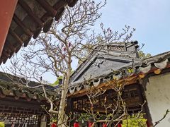 -上海醉白池公园