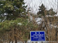 -北京西山国家森林公园
