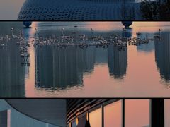 -杭州植物园