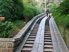 -白沙古井