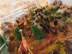 -KKV(深圳宏发大仟里店)