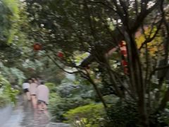 -腾冲洞山温泉村