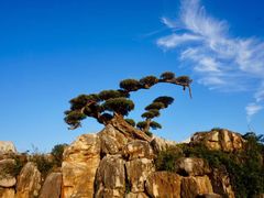 -南通洲际绿博园