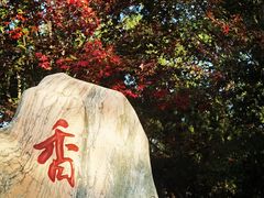 -香山公园