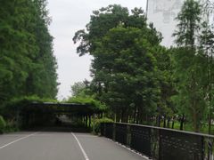 -东平国家森林公园