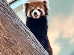 -石家庄市动物园