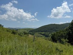 -御道口草原森林风景区