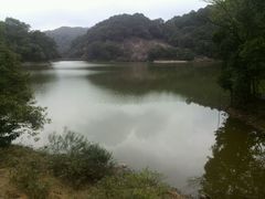 android_upload_pic-广州市石门国家森林公园