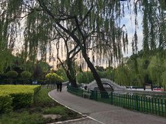 -达活泉公园