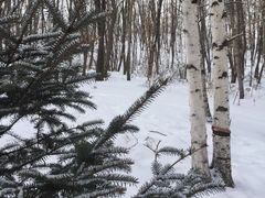 -六鼎山文化旅游区