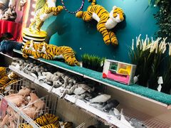 -宜家家居(哈尔滨商场店)